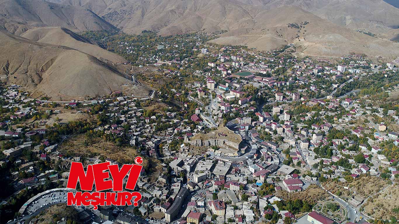 Bitlis'in-Neyi-Meşhur