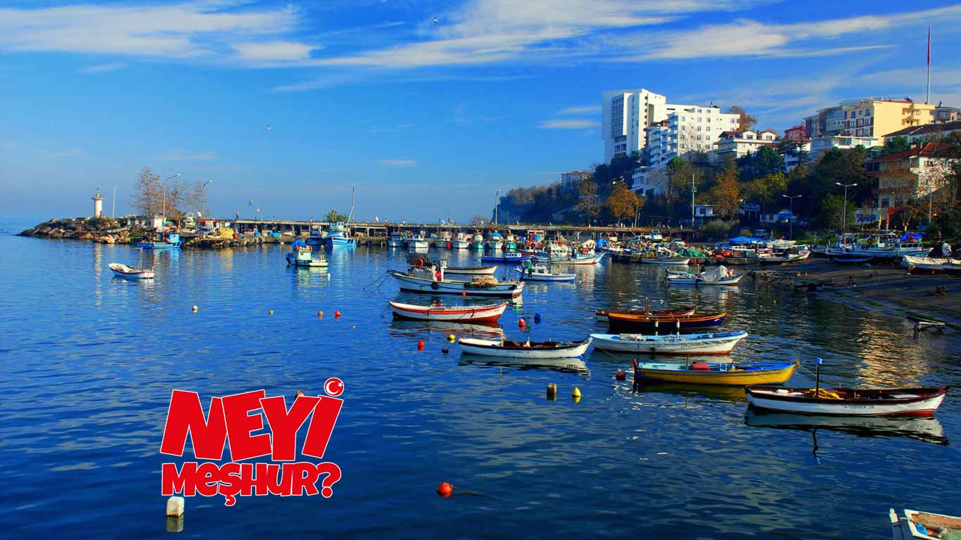 Düzce'nin Neyi Meşhur