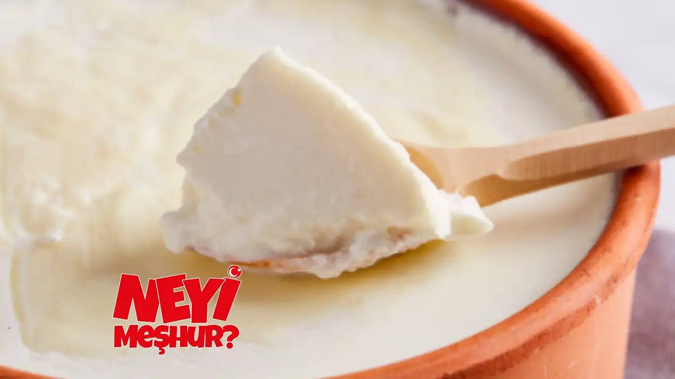 Kırşehir'in Meşhur Manda Yoğurdu